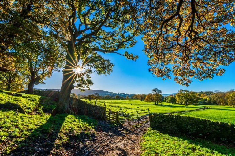 yorkshire, autumn, sunshine